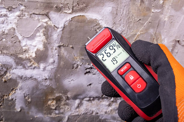 Reliable Mineralwells, WV Mold Remediation Solutions