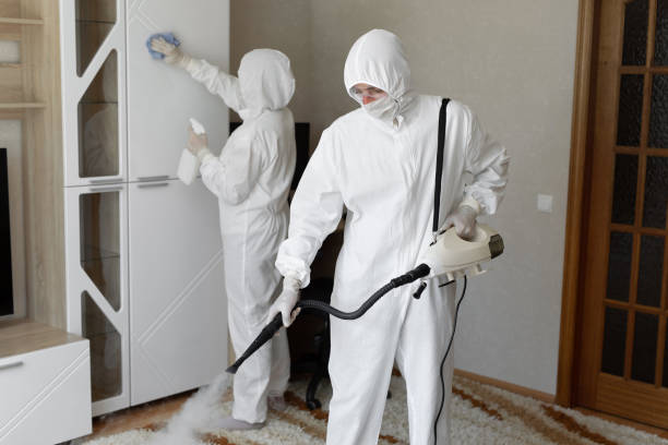 Best DIY Mold Remediation Support Services in Mineralwells, WV