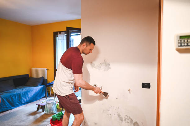 Best Post-Flood Mold Remediation in Mineralwells, WV